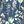 Leaf Navy