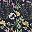 Meadow Navy Multi