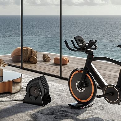 Vornado FLY Max High Velocity Fitness Fan