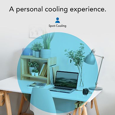 Vornado PEBL PAK USB Portable Fan with Travel Case