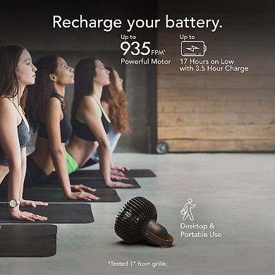 Vornado Fly Move Rechargeable Ultraportable Fan