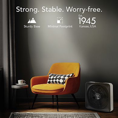 Vornado High Velocity Box Fan