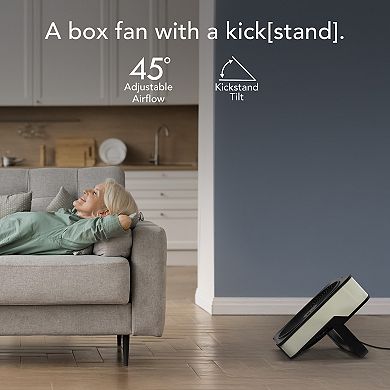 Vornado High Velocity Box Fan with Kickstand