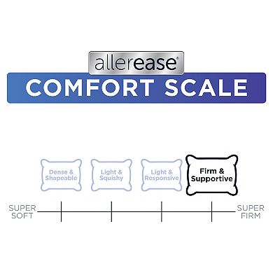 AllerEase Euro Pillow
