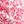 Canyon Pink