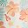 Ivory Tropical Floral