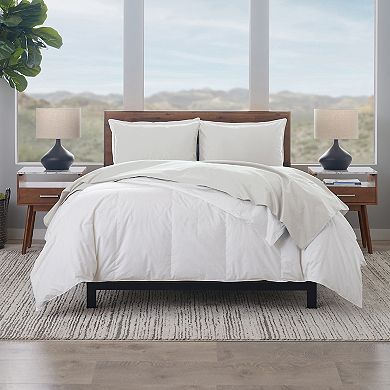 Ella Jayne 4-pc. 1200 Thread Count Cotton Sateen Sheet Set