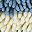 Blue Beige Dark Grey
