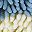 Blue Beige Green
