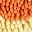 Orange Yellow Purple