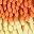 Orangeyellow Darkgrey