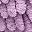 Purple Grey