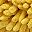 Dark Yellow Grey