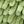 Blue Beige Green