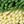 Green Yellow Dark Grey
