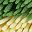Green Yellow Pink