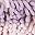 Purple Pink Green