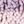 Purple Pink Pink