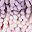Purple Pink Pink