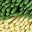 Greenyellow Blueyellow