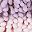 Purple Pink Blue