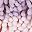 Purple Pink Yellow