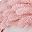 Pink Brown