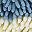 Blue Beige Blue Yellow