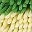 Greenyellow Blueyellow