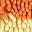 Orange Yellow Grey