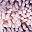Purple Pink Grey