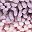 Purplepink Blueyellow
