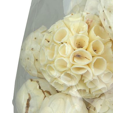 18 Piece Natural White and Brown Exotic Dried Organic Decor Balls