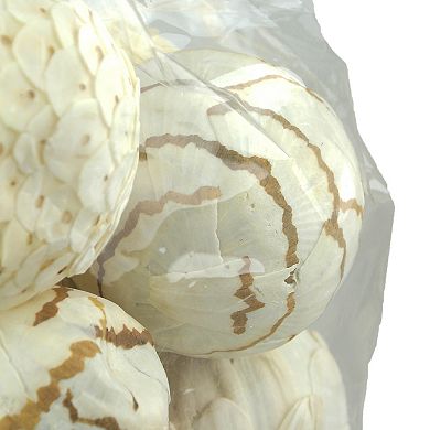 18 Piece Natural White and Brown Exotic Dried Organic Decor Balls