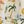 Ivory Beach Scene