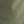 Olive Forest