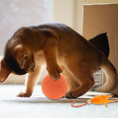 Cat Playing Ball with Bell Inside, Interactive Safe Teeth Cleaning Cat Chew Balls 15.75"x3.66"