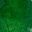 Genuine Emerald