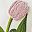 Blue Pink Tulip