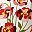 Orange Red Flower