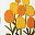 Orange Yellow Tulip