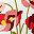 Yellow Red Flower