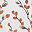 Orangeflower Darkpink