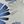Blue Grey