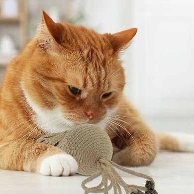 Cat Playing Ball with Galls Fruit, Interactive Safe Teeth Cleaning Cat Chew Balls 7.87"x2.09"