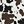 Black Brown Separation