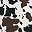 Black Brown Separation