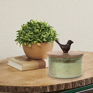 Studio 66 Paradise 3-Wick Candle Decorative Jar