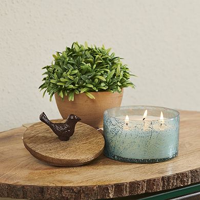 Studio 66 Paradise 3-Wick Candle Decorative Jar