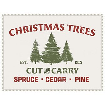 Christmas Farm Sign I by Victoria Barnes Framed Canvas Wall Art Print